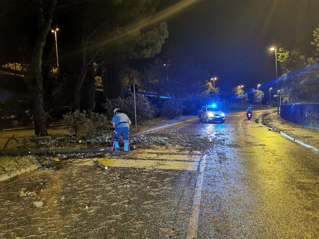 🚨 Emergenza meteo