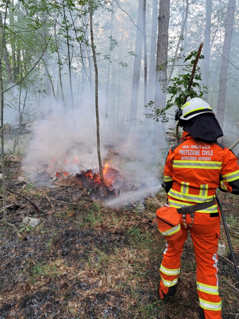 🔥 INCENDIO BOSCHIVO