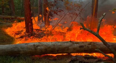 🔥 Conclusa la campagna estiva ANTINCENDIO BOSCHIVO 2026